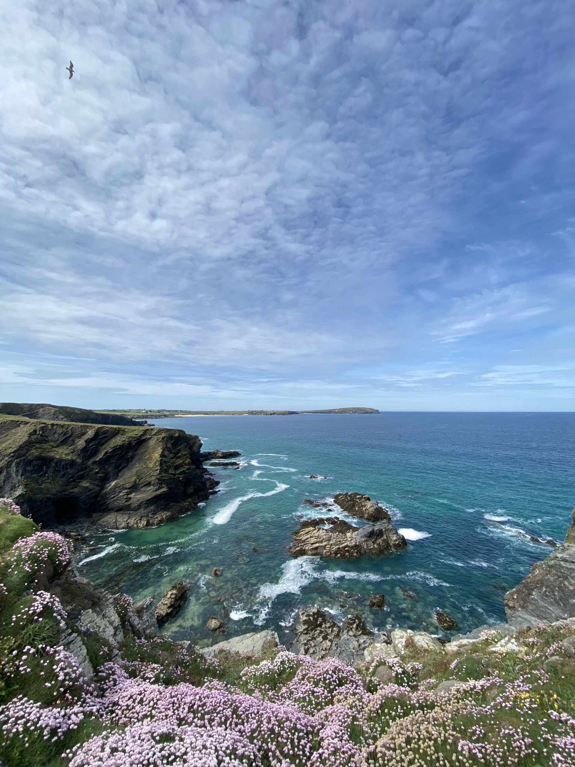 Padstow Holiday Park Holiday Homes to Hire